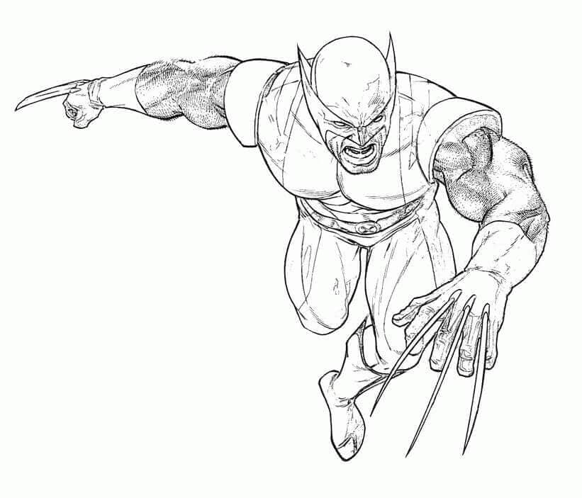 Wolverine Sangat Marah