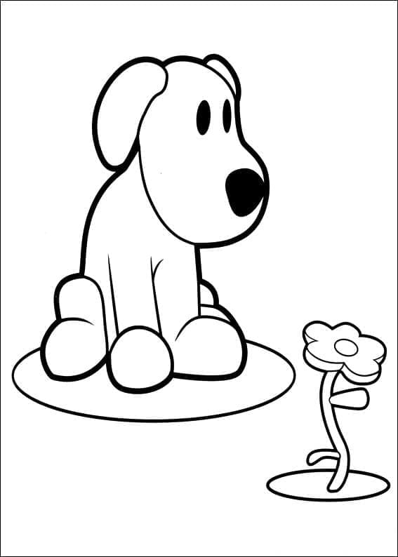 Anjing Loula di Pocoyo