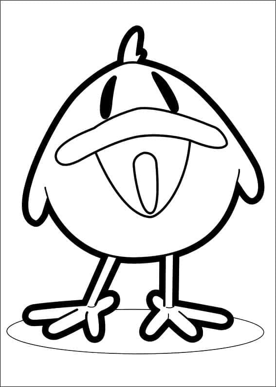 Bayi Burung di Pocoyo