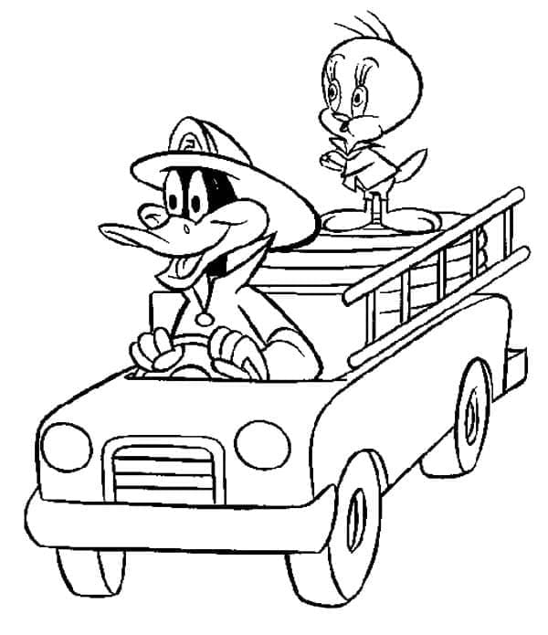 Daffy Bebek dan Tweety Bird
