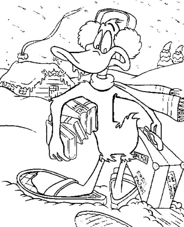 Daffy Bebek Dingin