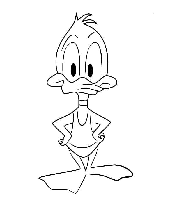 Daffy Bebek Kecil Bahagia