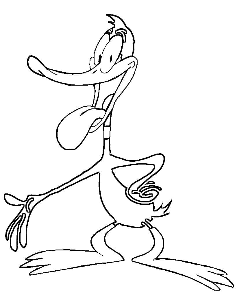 Daffy Bebek yang Sangat Lucu
