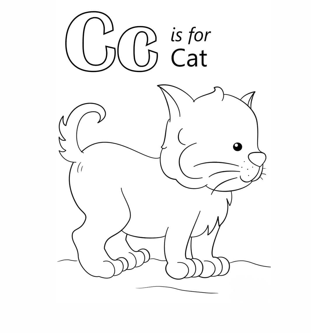 Huruf C untuk Kucing