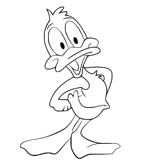 Kecil Daffy Bebek