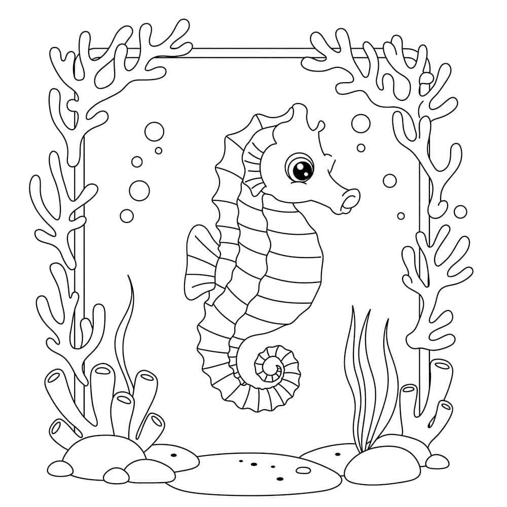 Kuda Laut yang Menggemaskan