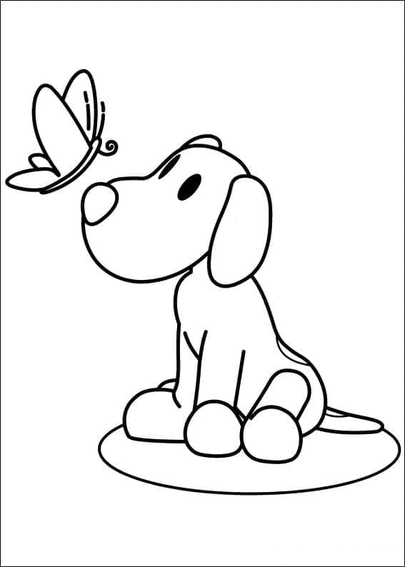 Loula di Pocoyo