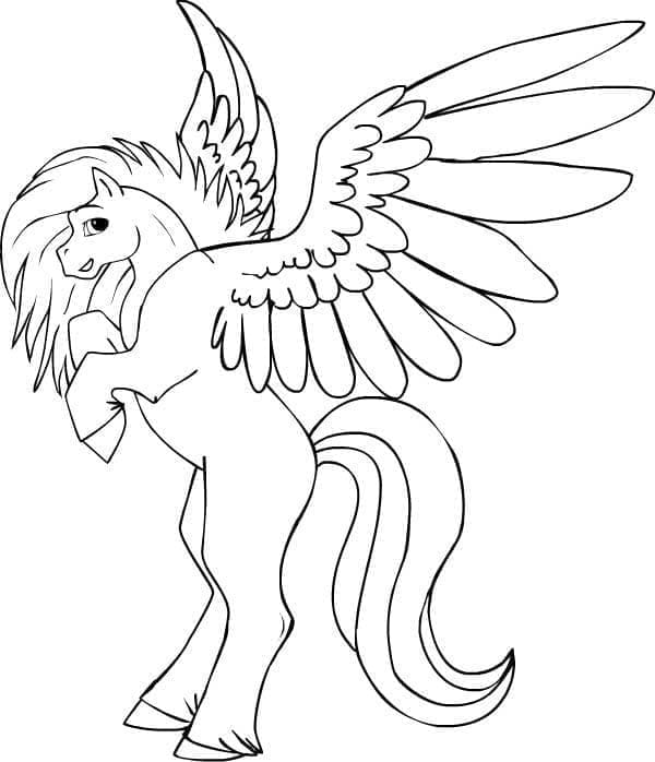 Pegasus cantik