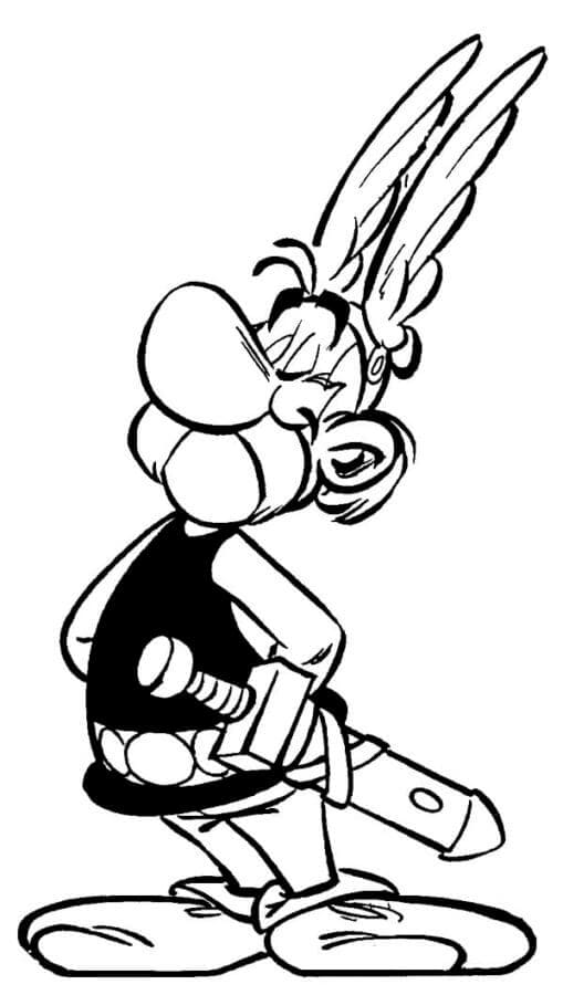 Relawan Asterix