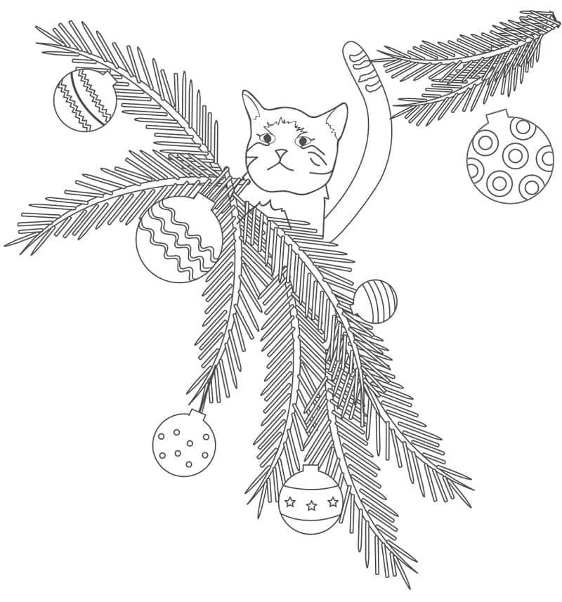 Anak Kucing Natal