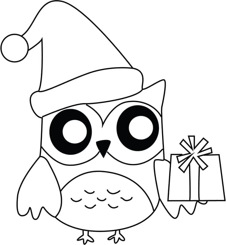 Burung Hantu Natal yang Lucu