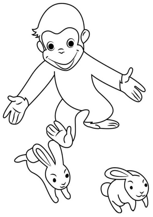 Curious George dan Kelinci