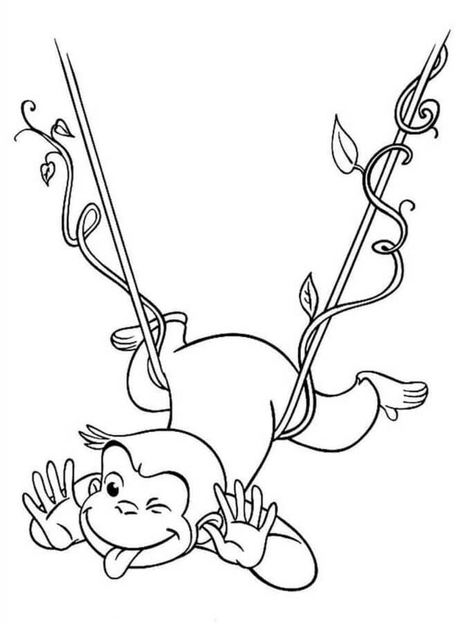 Lucu Curious George