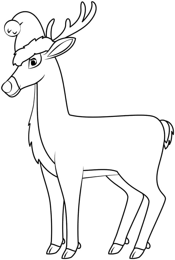 Rusa Natal gratis