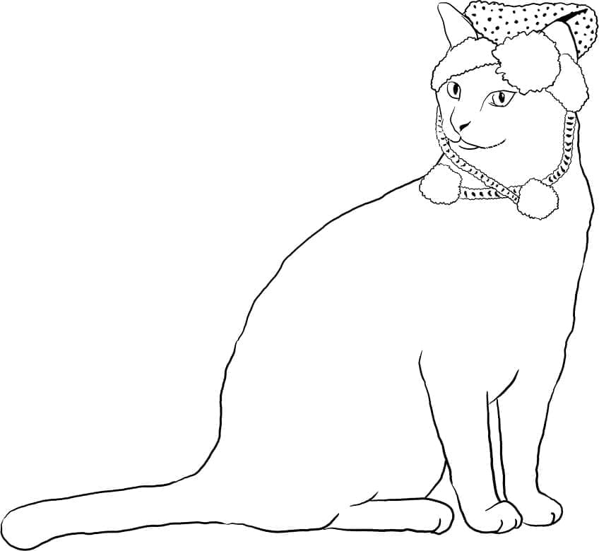 Seekor Kucing Natal