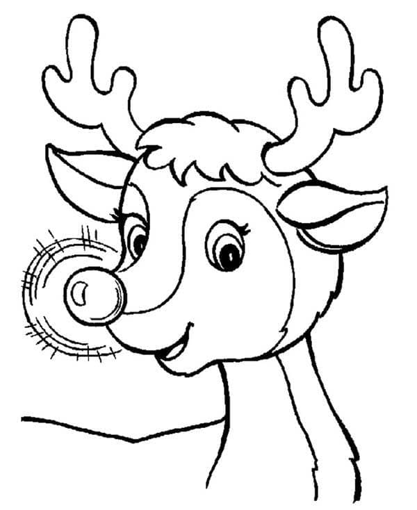 Selamat Rudolph