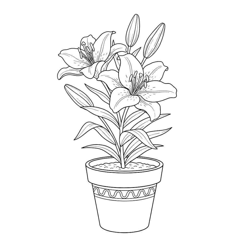 Bunga Bakung dalam Pot