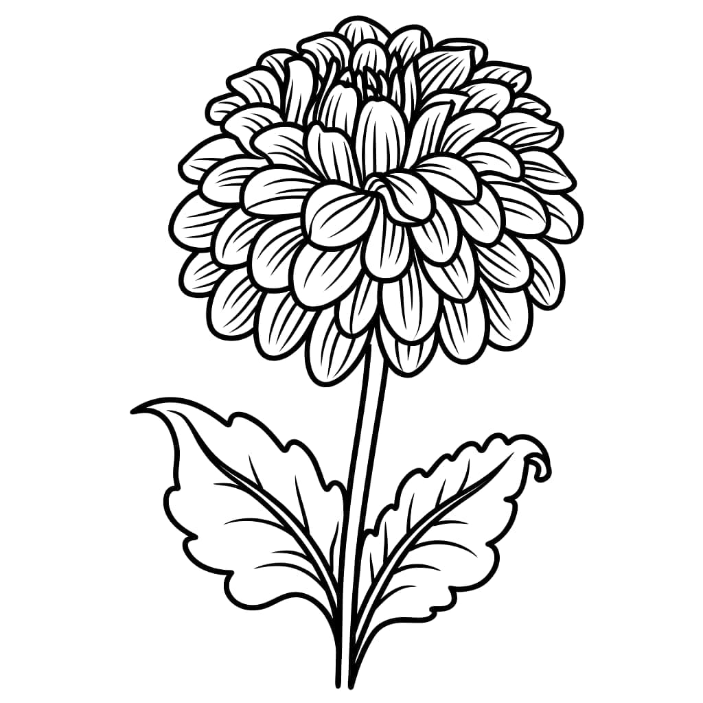 Daun dahlia