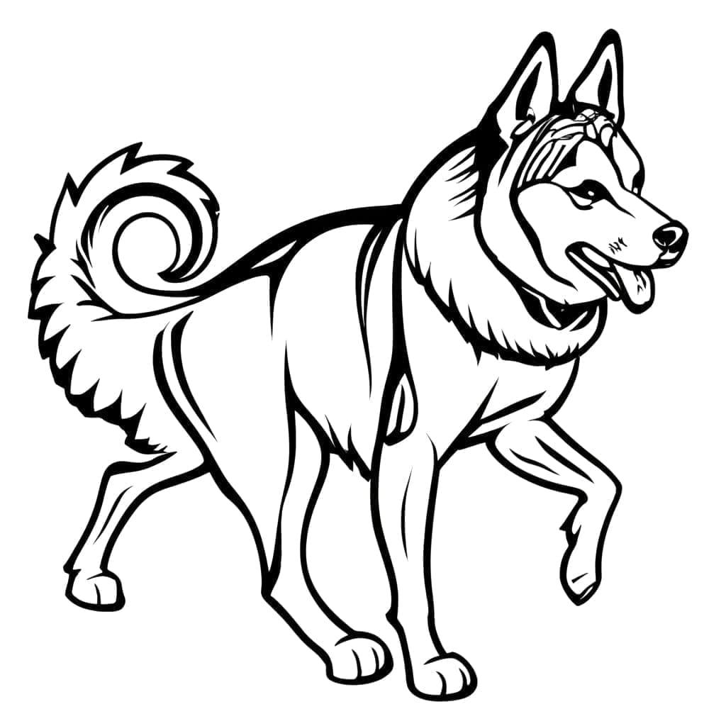 Gambar Husky