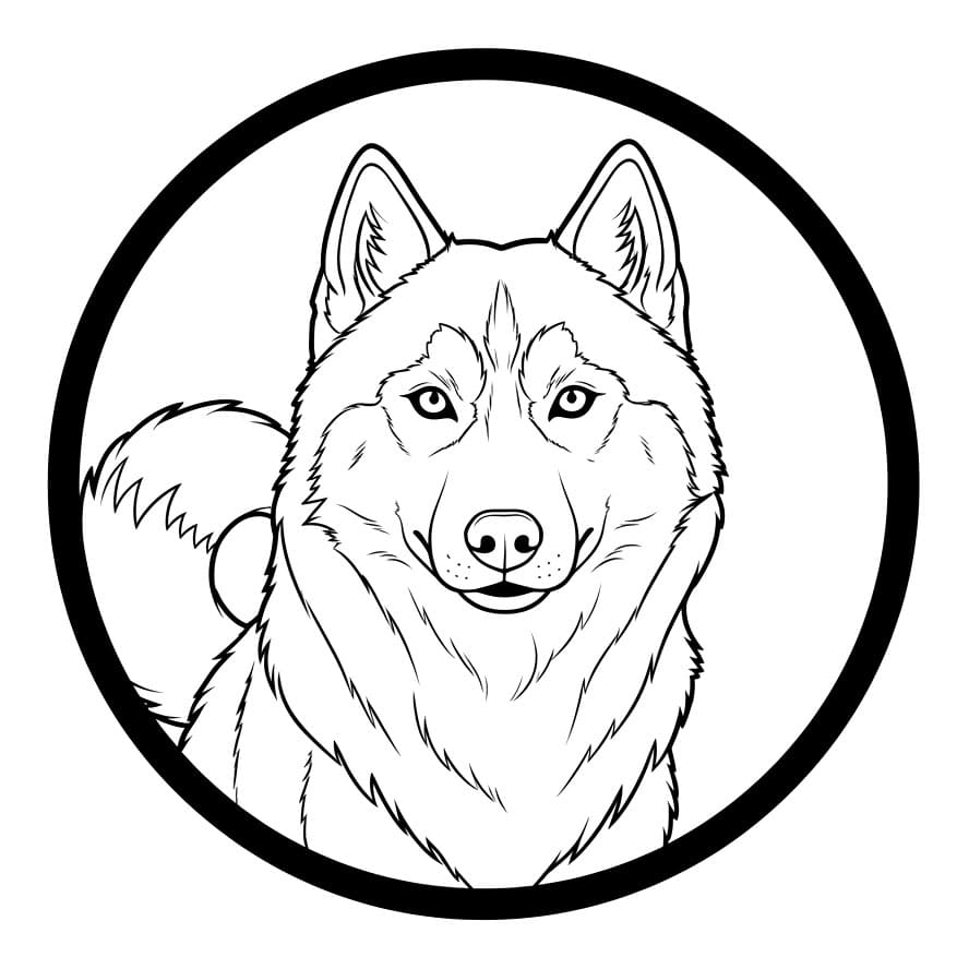 Husky dalam Bingkai Lingkaran