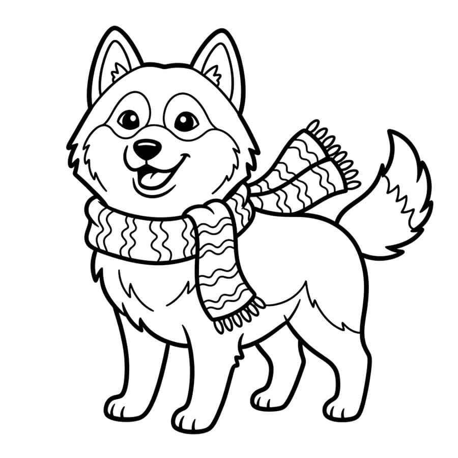 Husky dengan Syal