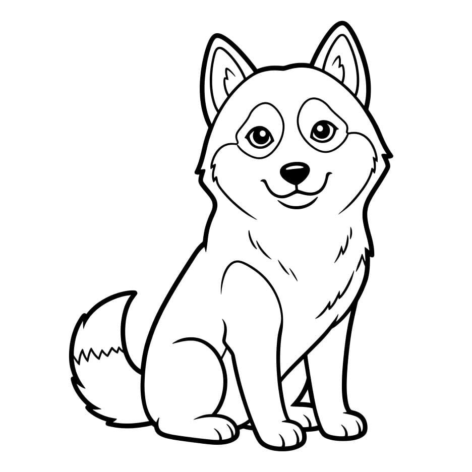 Husky Duduk Lucu