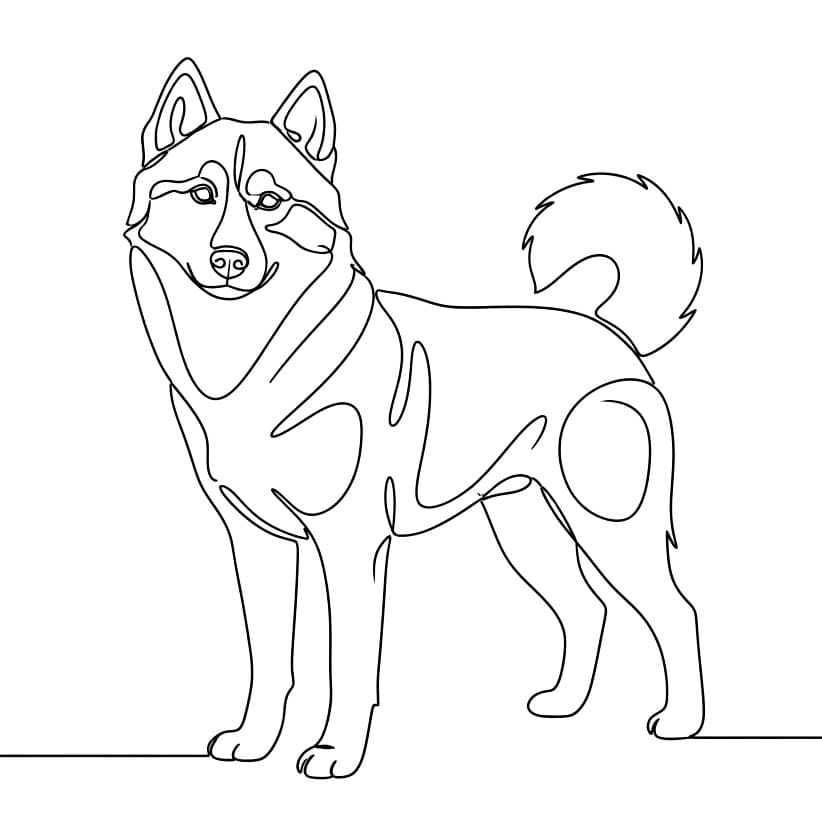 Husky Garis Minimal