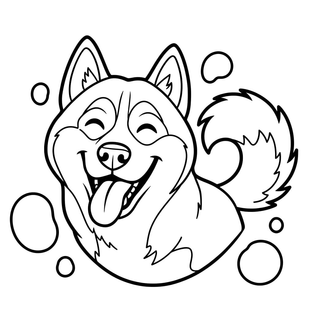 Husky Tersenyum