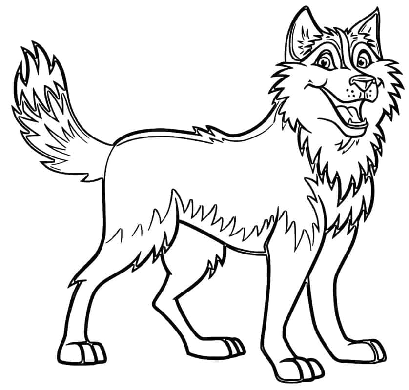 Kartun Husky
