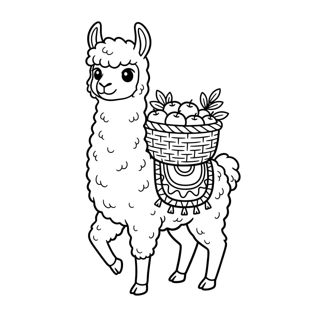 Keranjang Llama