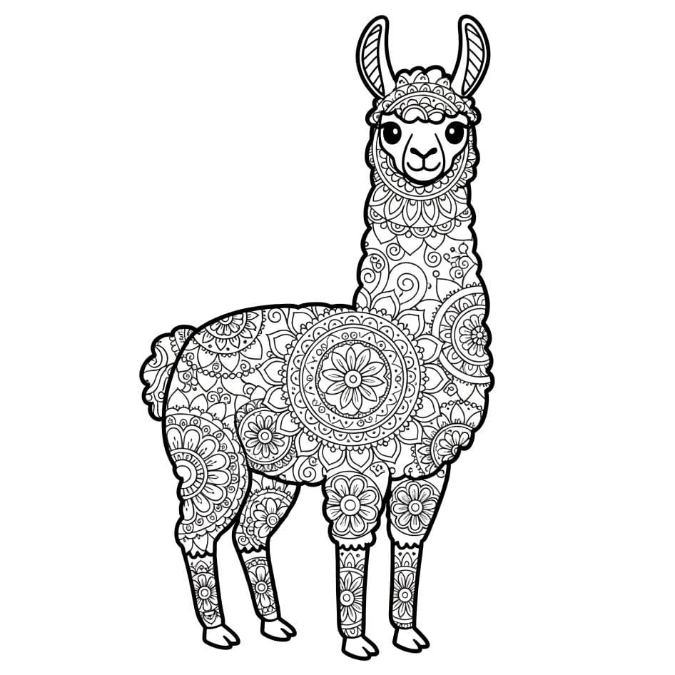 Mandala Llama