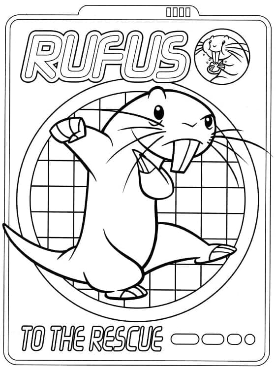 Rufus dari Kim Possible