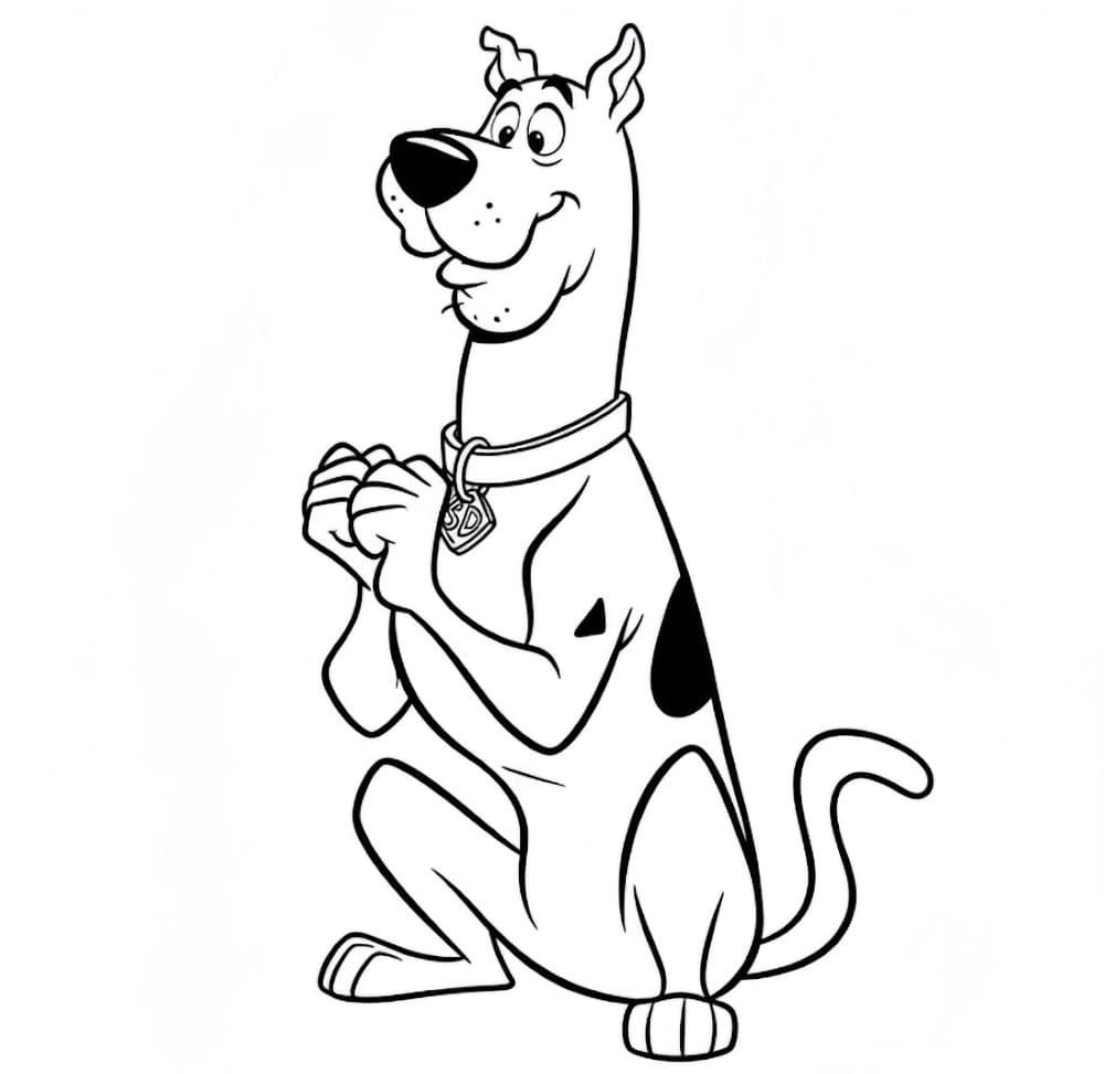 Scooby Doo mengamat