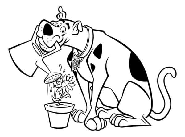 Scooby Doo menyiram bunga