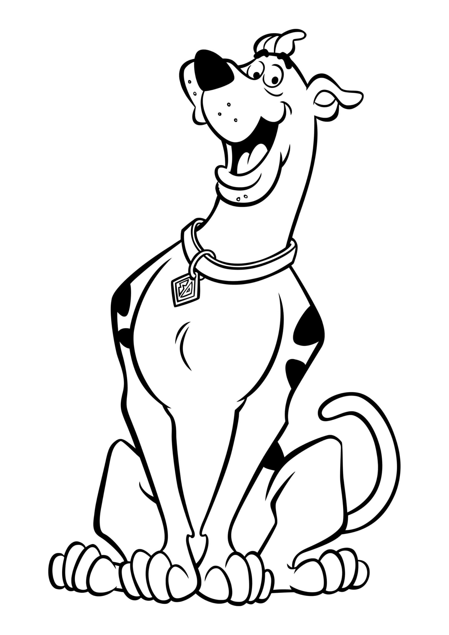 Scooby Doo yang lucu