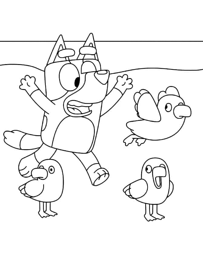Bluey dan Burung-Burung