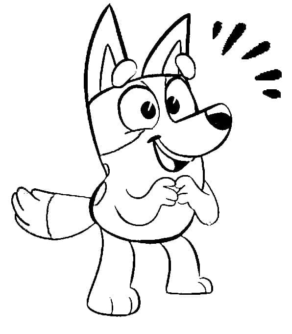 Gambar Bandit