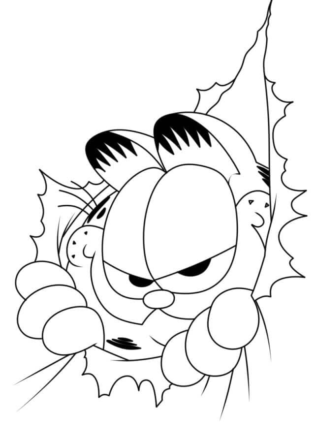 Garfield Lucu