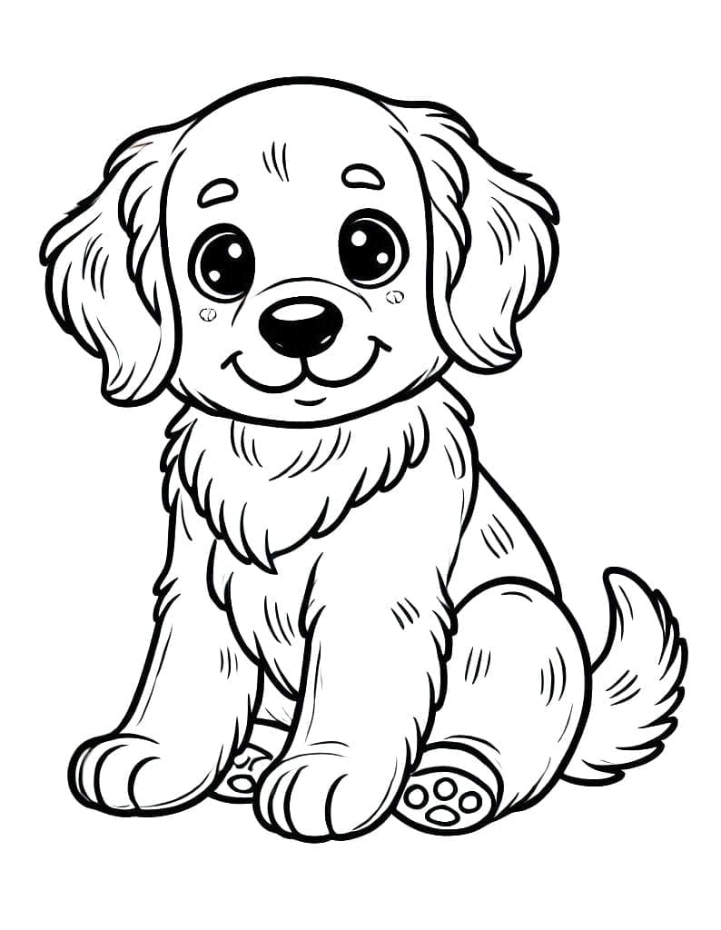 Golden Retriever lucu
