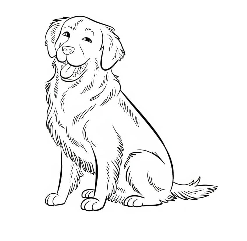 Golden Retriever yang ramah
