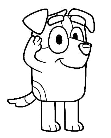 Jack dari Bluey