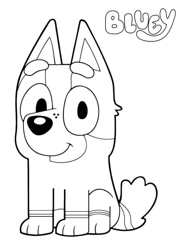 Kaos Kaki dari Bluey