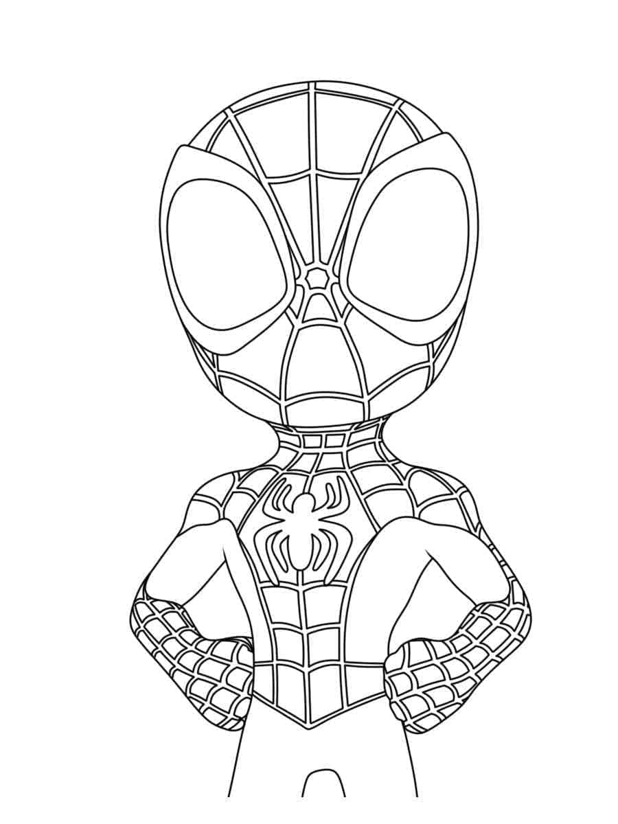 Spidey yang Menakjubkan