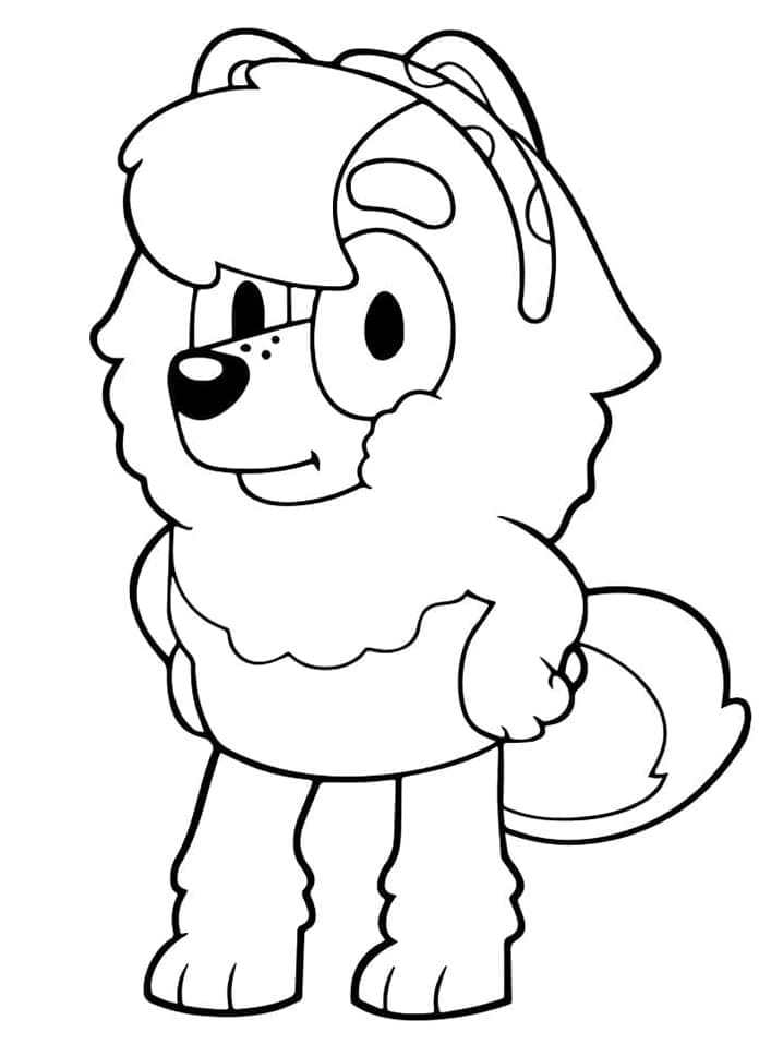 Spitz Judo dari Bluey