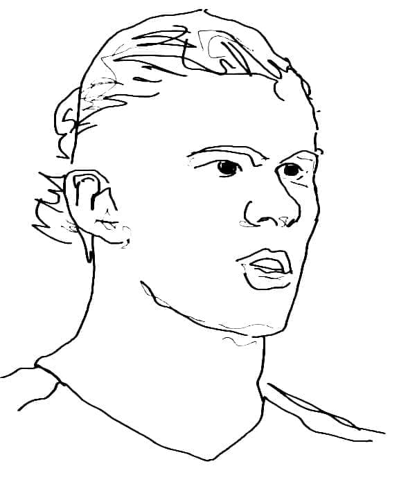 Erling Haaland bebas