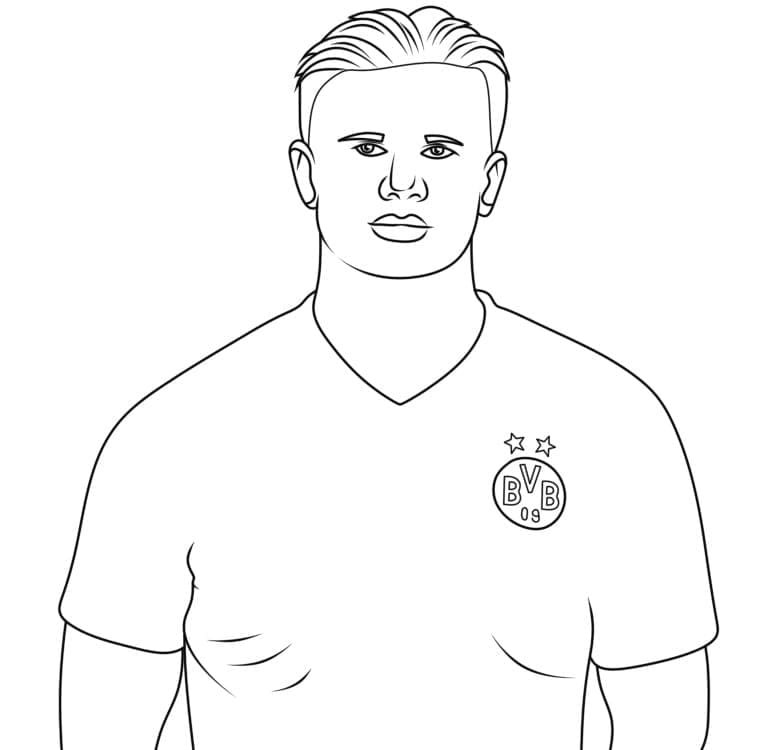 Erling Haaland muda