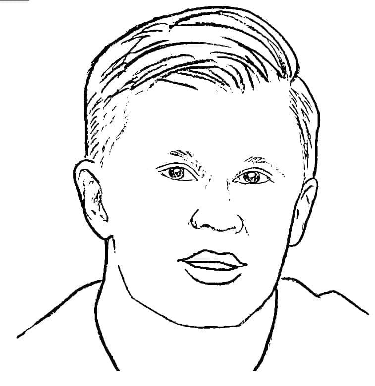 Erling Haaland Pemain bola