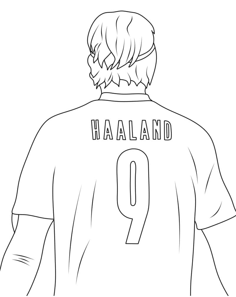 Erling Haaland Pesepakbola gratis