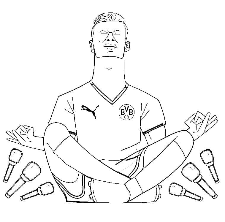Erling Haaland sang Pesepakbola