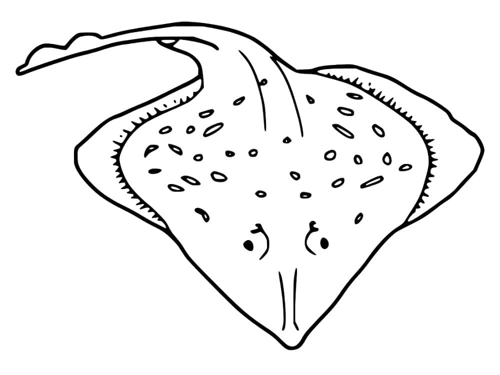 Gambar Ikan Pari Gratis